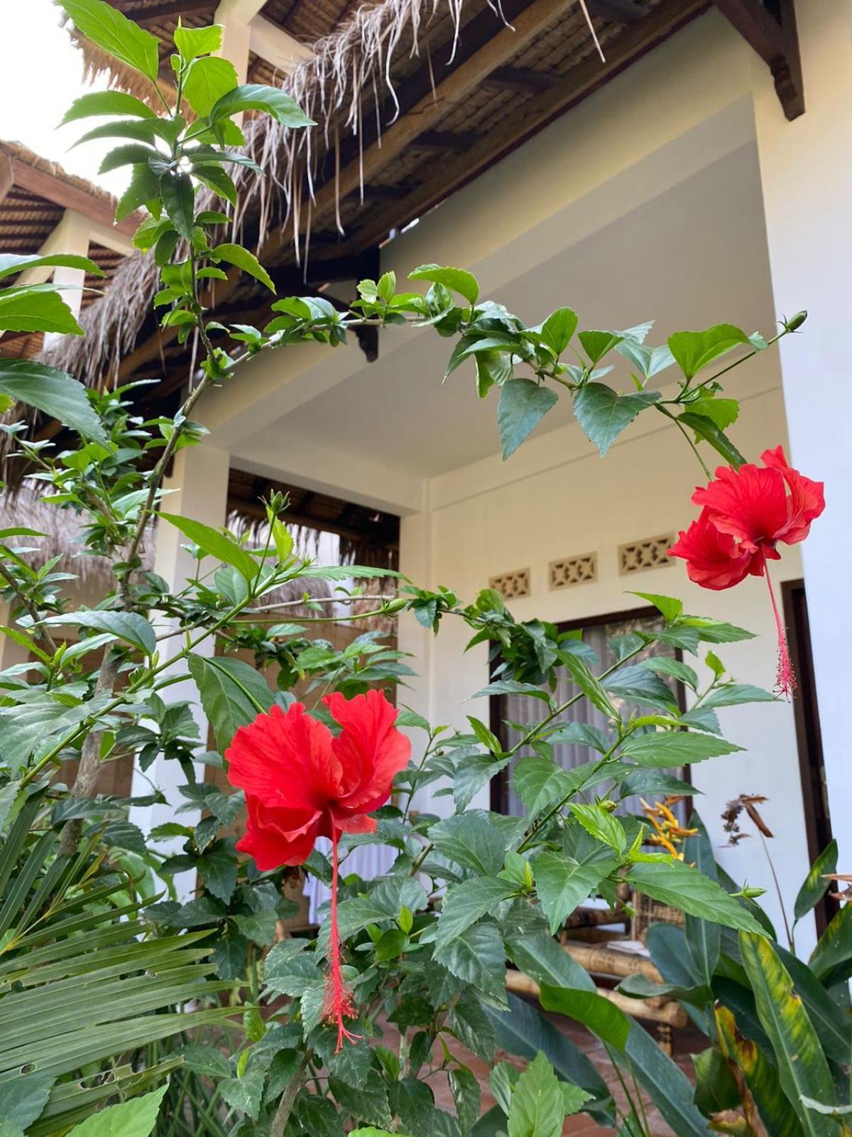 Cewin's Kuta (Lombok)