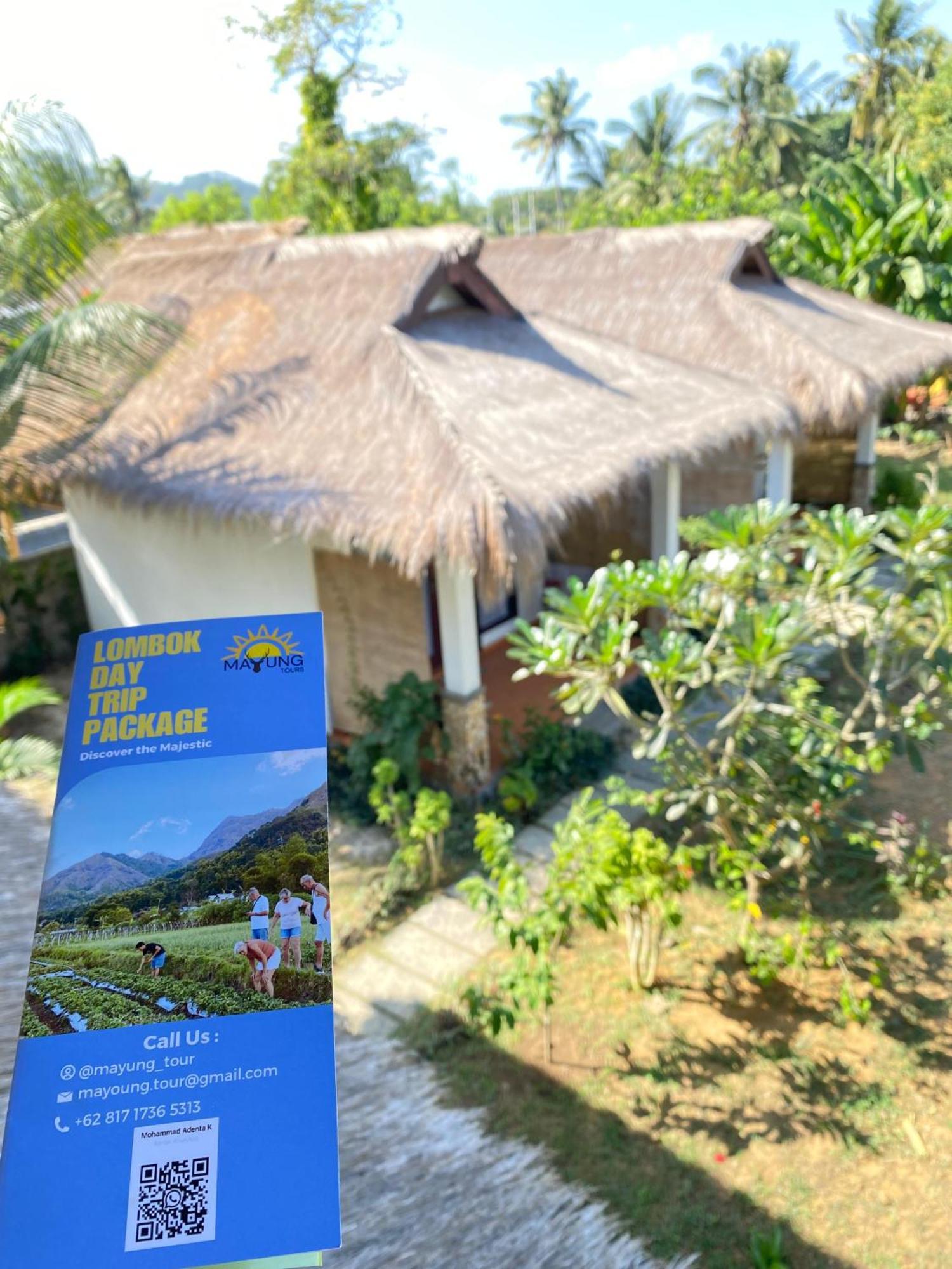 Bed & Breakfast Cewin's